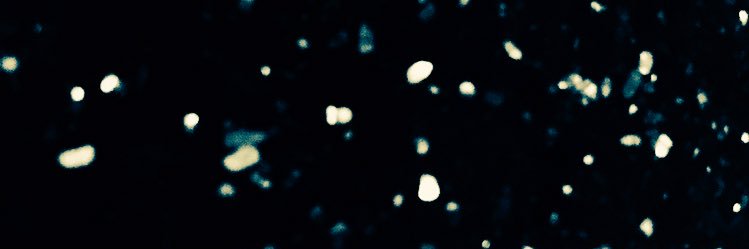 KerriLRhodes's profile banner image