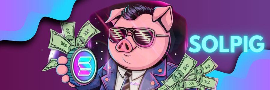 SOL PIG banner