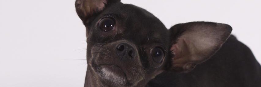 heriberth0's profile banner image