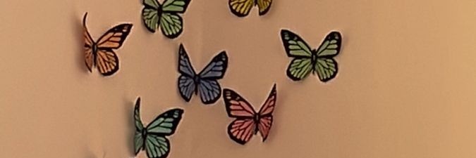 Naksu🦋's banner