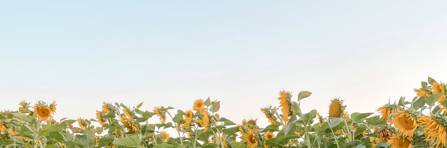 Ava banner