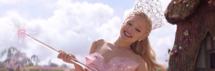 Sarah Manatee banner