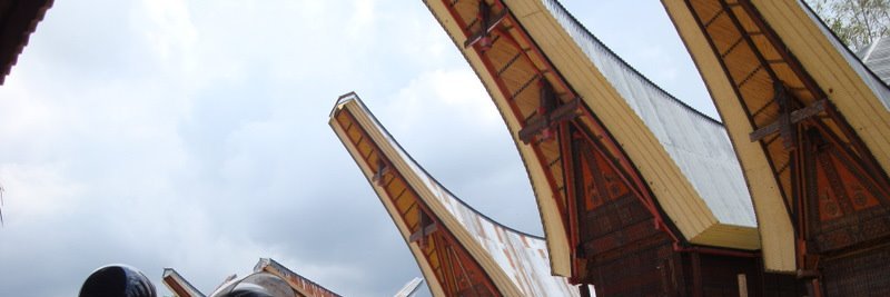 theofilusbayu's profile banner image
