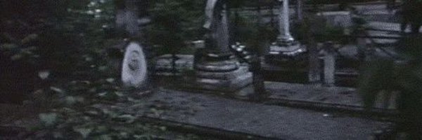 vigilthing Profile Banner