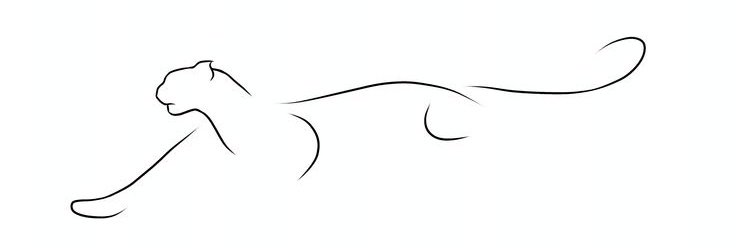 A. banner