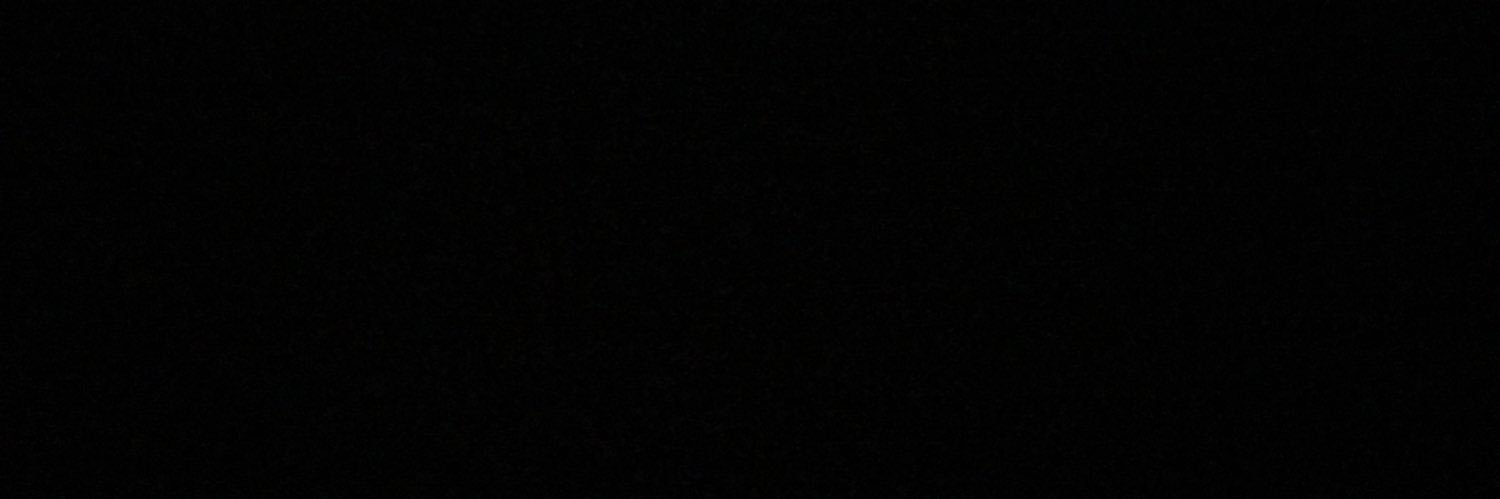 ericasillva_'s profile banner image