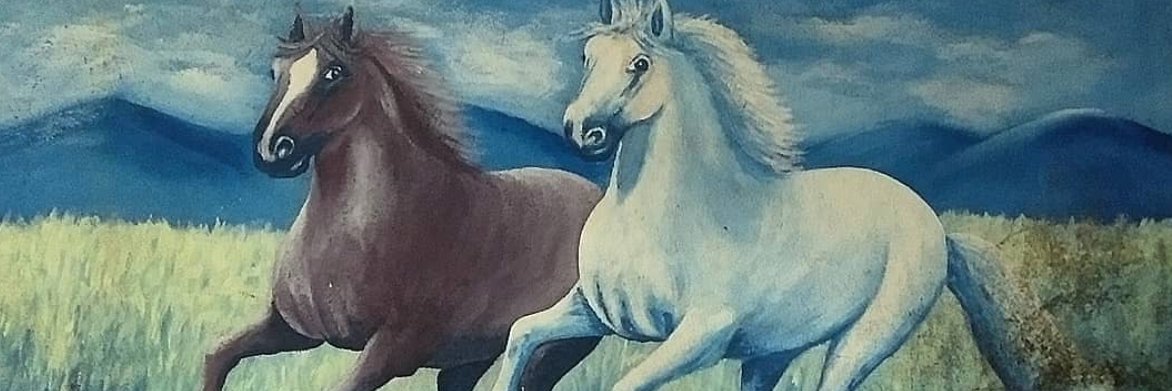 mifregona's profile banner image