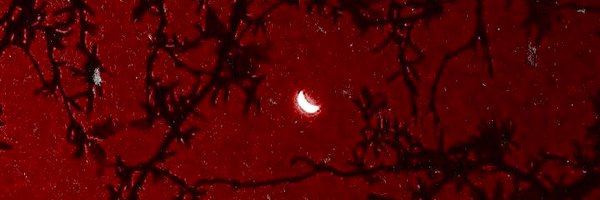 lunashearttt Profile Banner