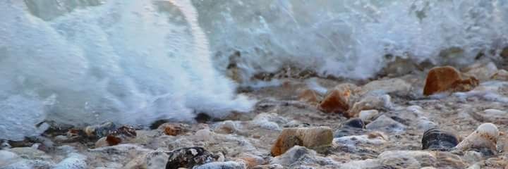 RodiBlogGargano's profile banner image