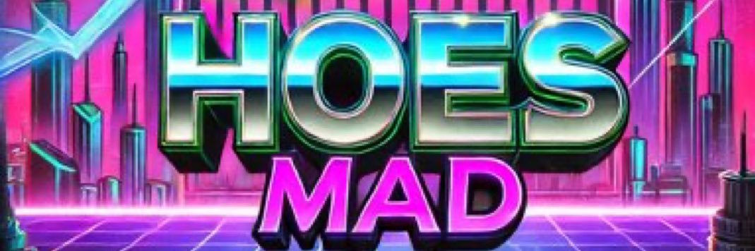 HoesMadCoin's profile banner image