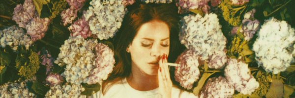 mysongbird2 Profile Banner