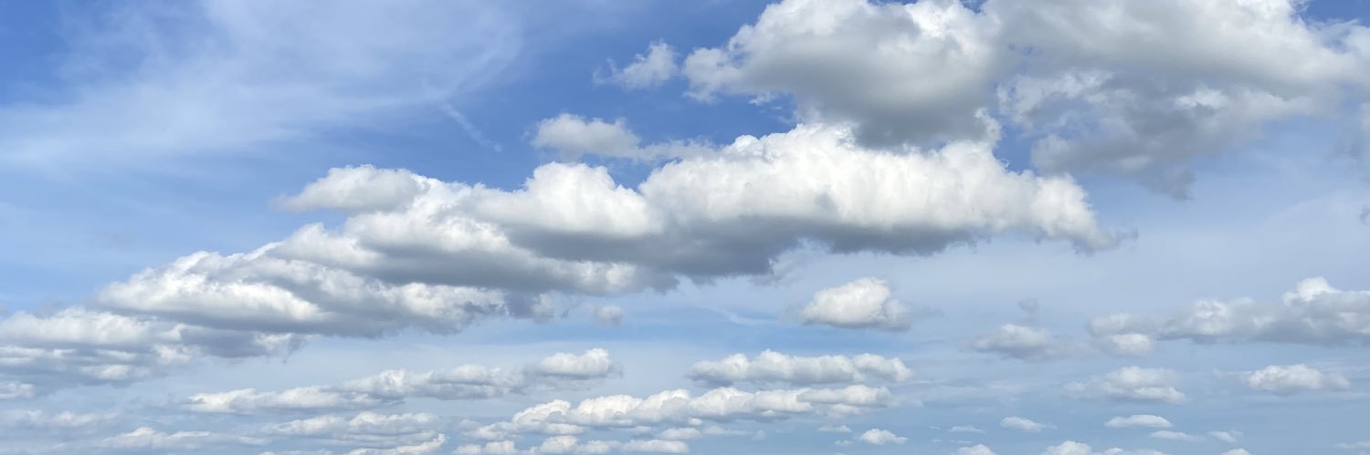 Patricia M. Shaffer banner