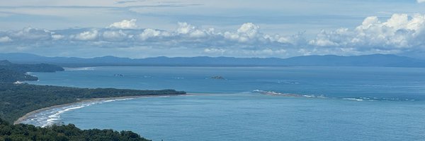 OptionWell Profile Banner