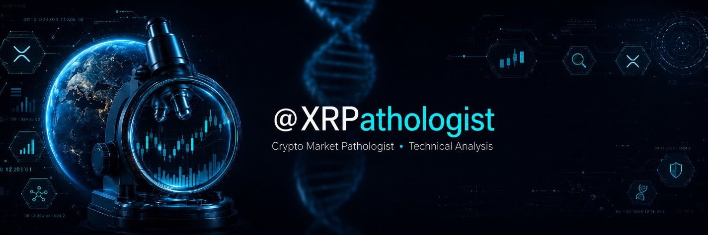 _XRPath0logist's profile banner image