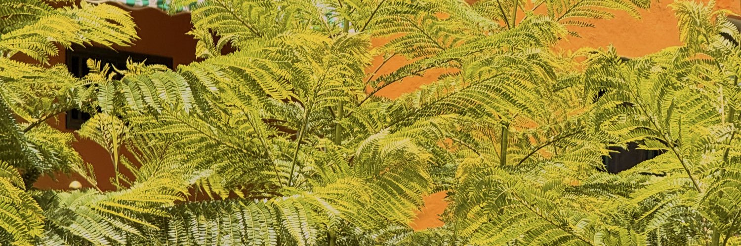alejandroooh_'s profile banner image