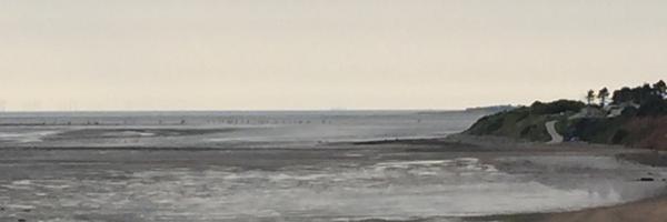 TedJeory Profile Banner