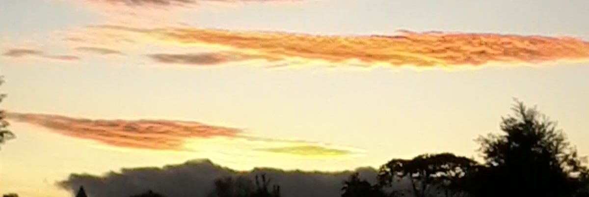 slendyr's profile banner image