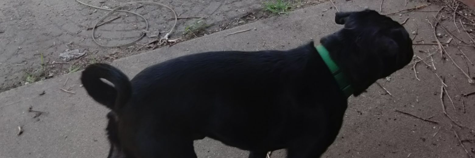 klitzka98232's profile banner image