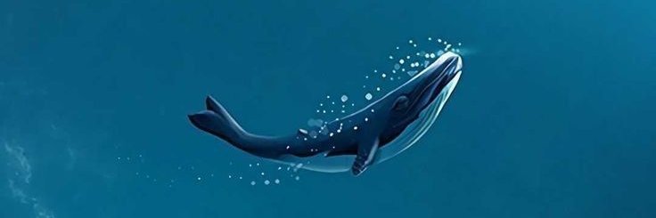 sevviva's profile banner image