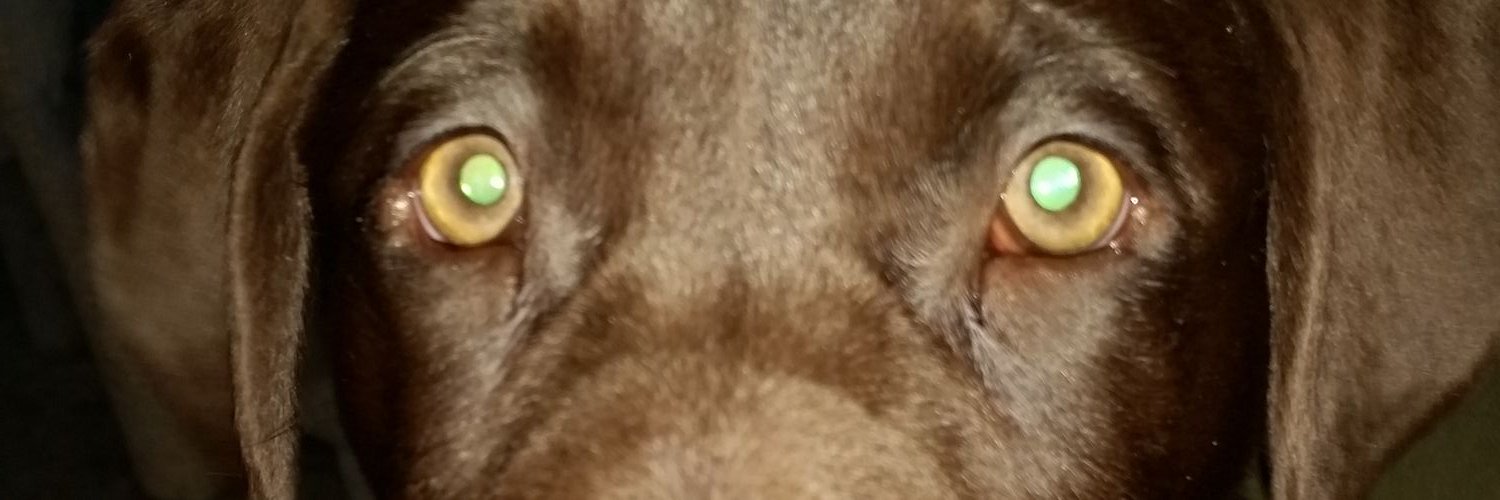 EricfromVA's profile banner image