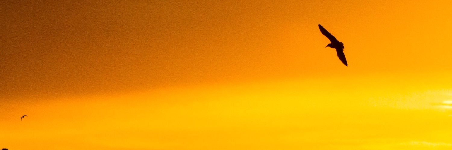rochisolans's profile banner image