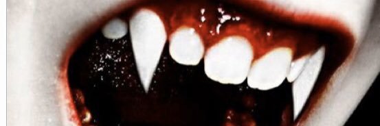 Snapitson's profile banner image