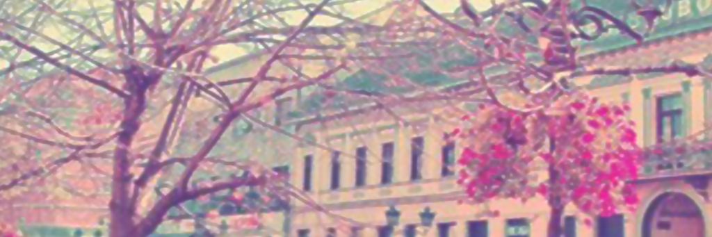 MayritAlmazabal's profile banner image