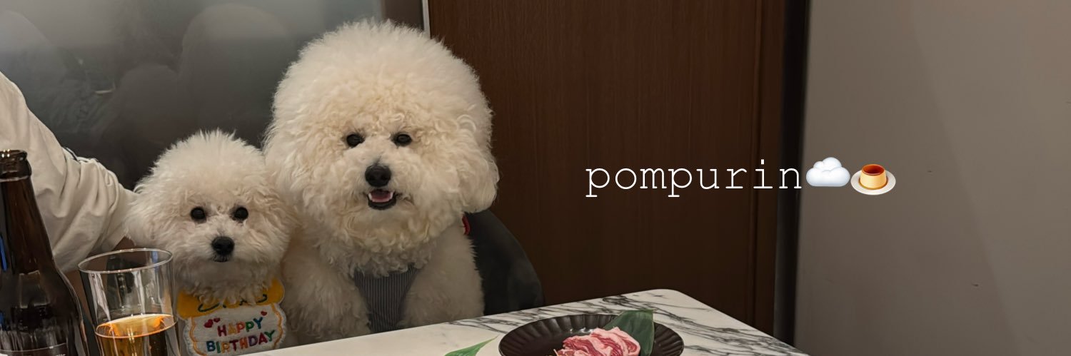 ビションフリーゼのぽむとぷりん☁️🍮 banner