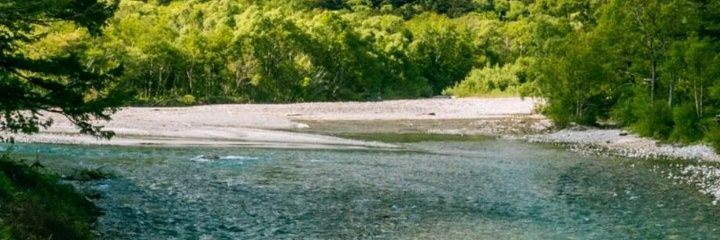 Mia Renard banner