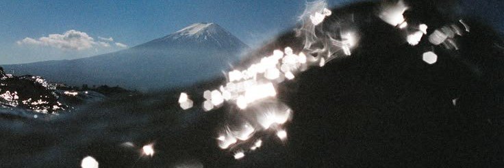 donntotts's profile banner image