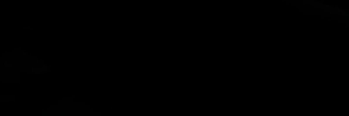 L banner