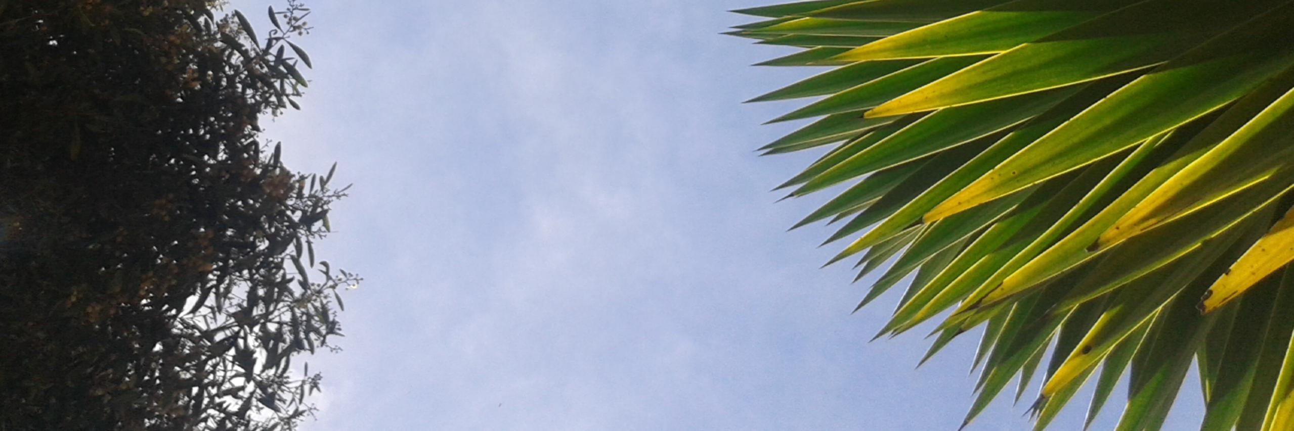 RenatinLimAlv's profile banner image