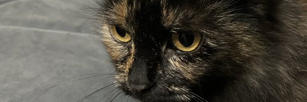 Poopido_ Profile Banner