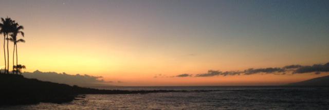 barbara_m27's profile banner image