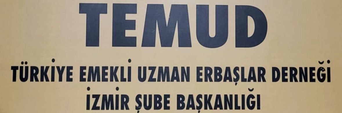 temudizmir35 banner