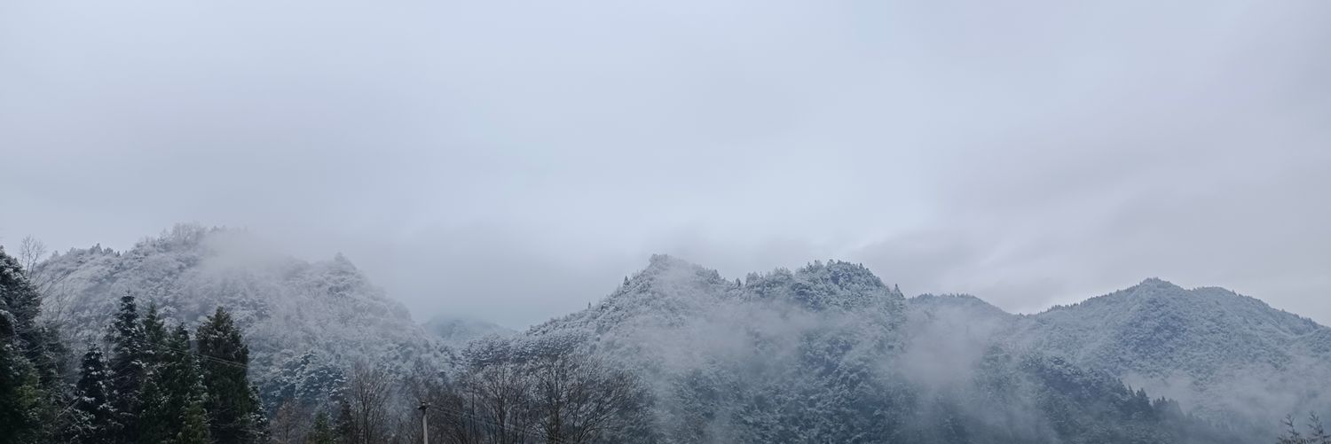 3111924426Fuhao's profile banner image