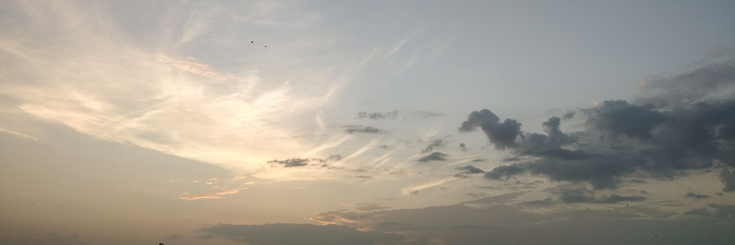 vijis0605's profile banner image