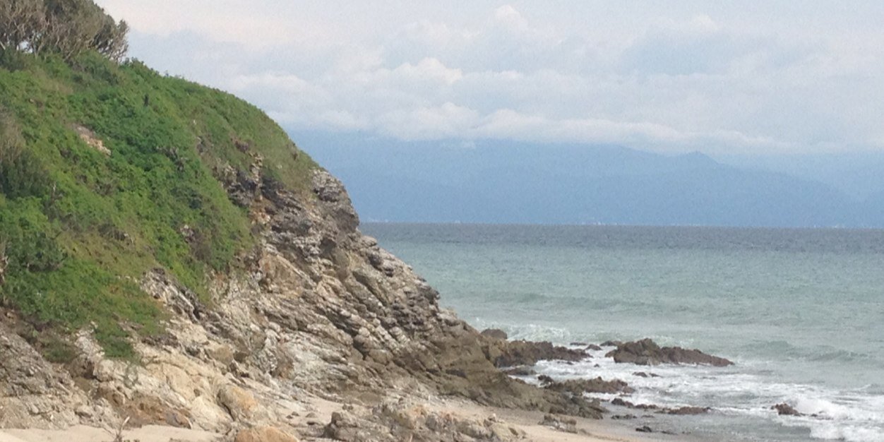 Gildardo Manzo MD banner