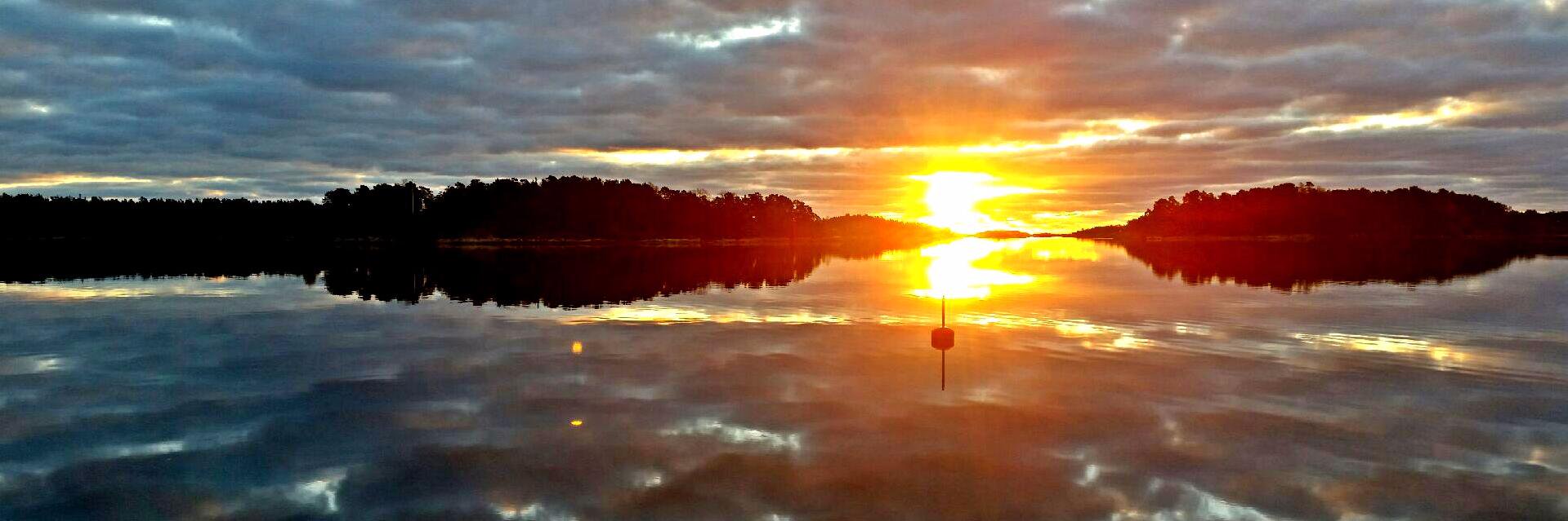 Therese Reuterswärd banner
