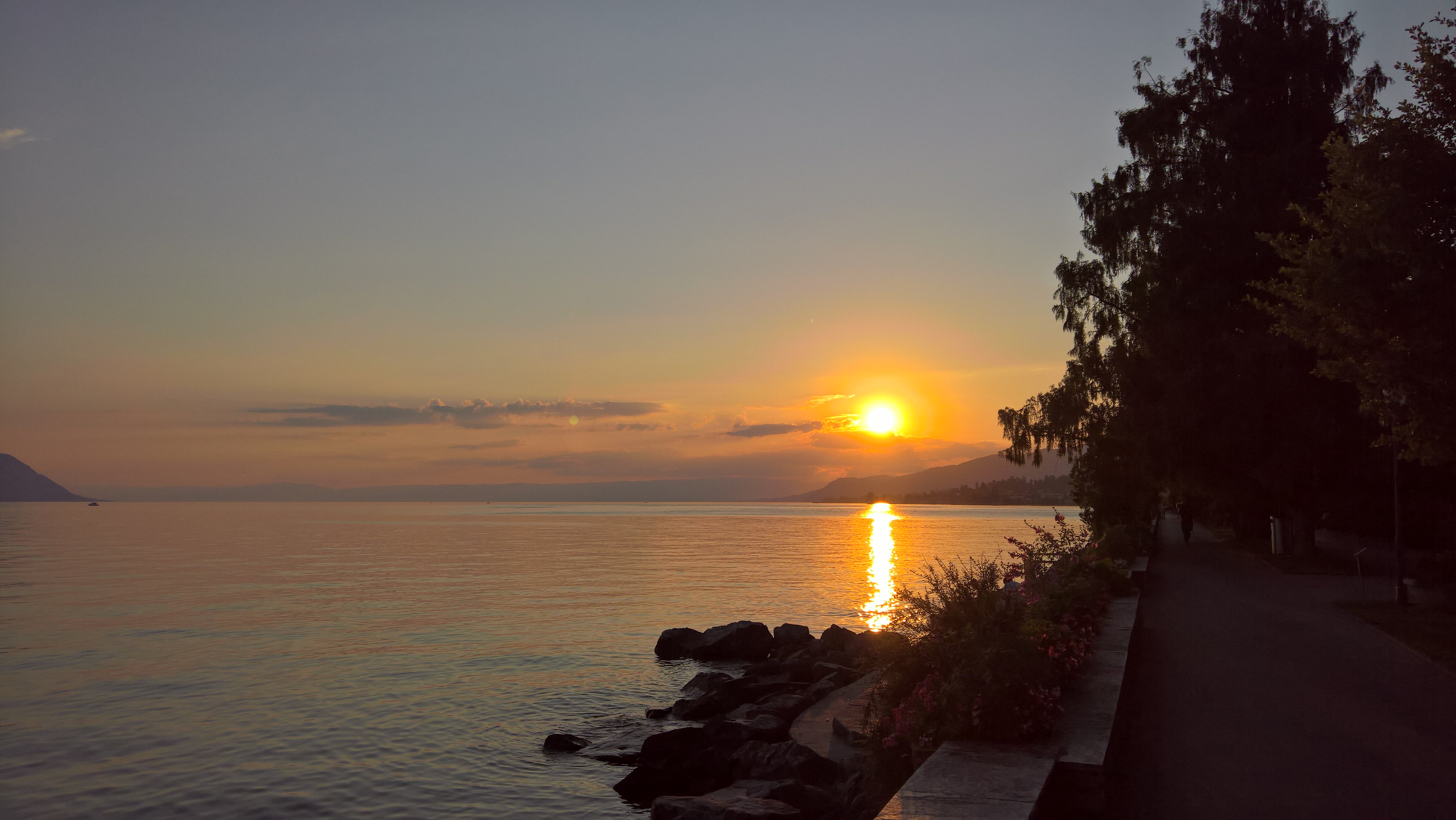 stefano_saetti's profile banner image