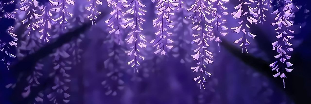 Ownerthoughts's profile banner image
