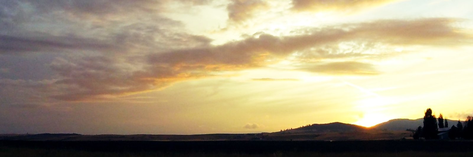 AdamRoams's profile banner image