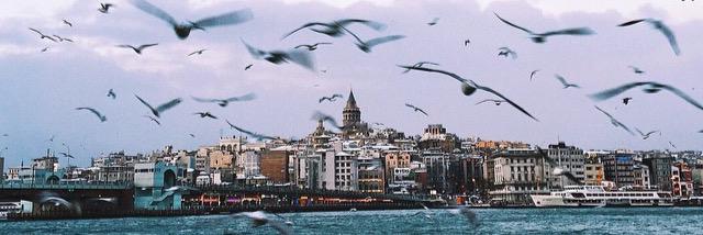 yachlapst's profile banner image