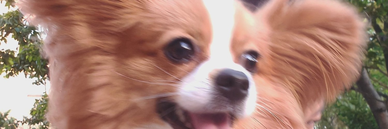 mikagekagi's profile banner image