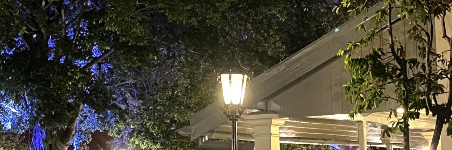 intaanwp's profile banner image