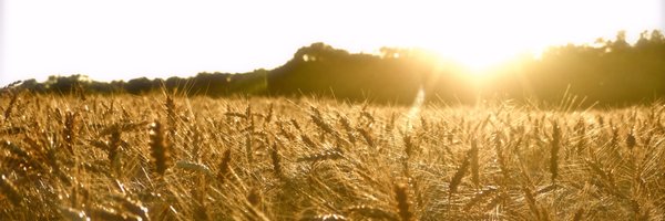 JerryMoran Profile Banner