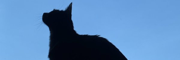 kizamitheegirl Profile Banner