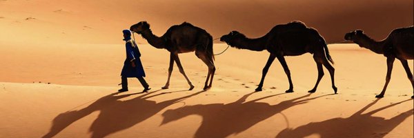 CamelToeDP Profile Banner