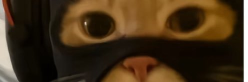 eloupilface's profile banner image