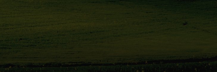 OhLapadaSeca__ banner